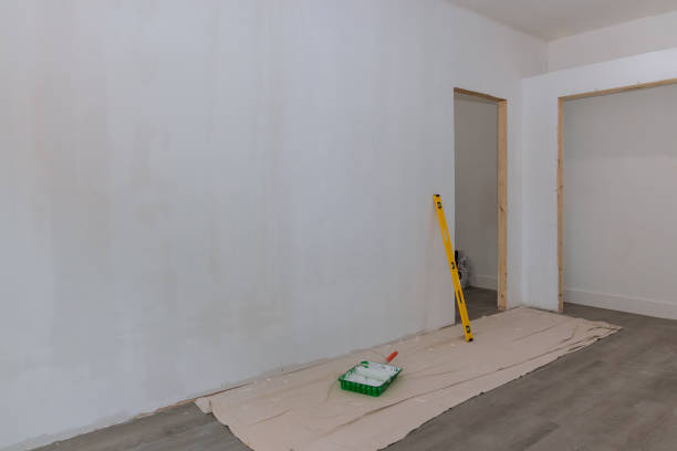 Best Fire-Damaged Drywall Repair  in Paynesville, MN