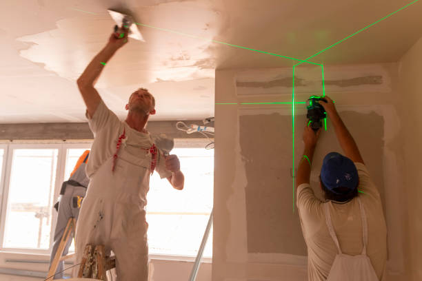 Best Water-Damaged Drywall Repair  in Paynesville, MN