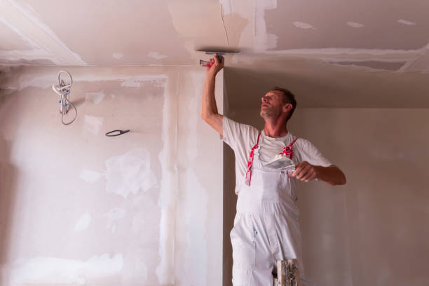 Reliable Paynesville, MN Drywall and Painting Service Solutions