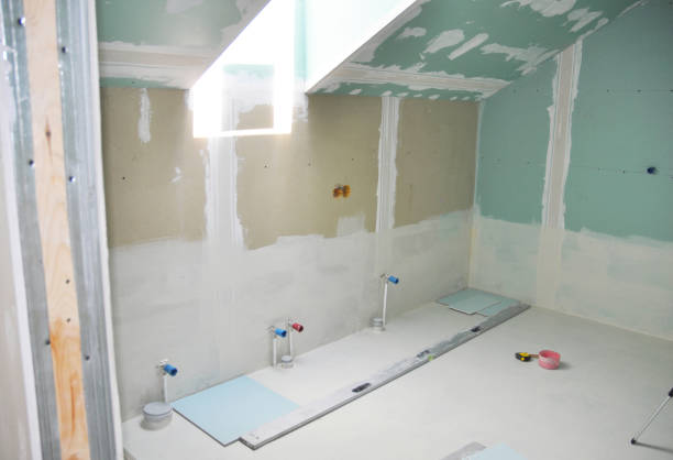 Best Drywall Installation  in Paynesville, MN